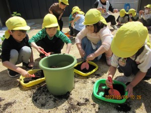 夏野菜の苗植え（5月9日実施）