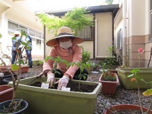 野菜＆花づくり