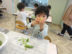 空豆の皮むき（５月１６日実施）