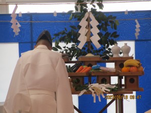 IMG_4662