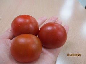 おいしくいただきました