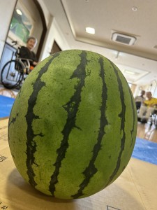 夏といえば！！！！！