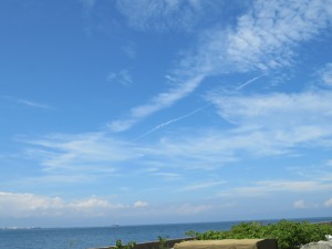 ドライブ