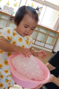 IMG_2095