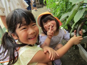 夏野菜が育ったよ♪