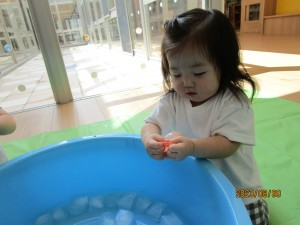 IMG_4294
