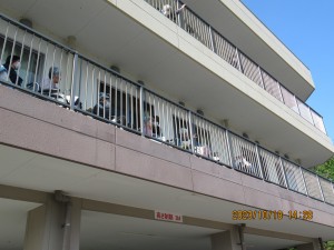 太鼓台！！