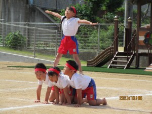 IMG_6306