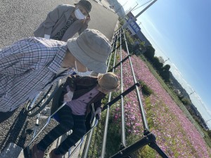 GH紅葉を見に行きましたが…