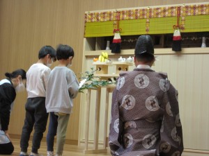 IMG_7800
