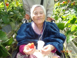 いちご狩り（きぼうの苑）