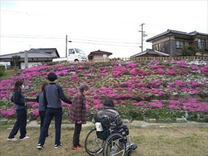 お花見ドライブ