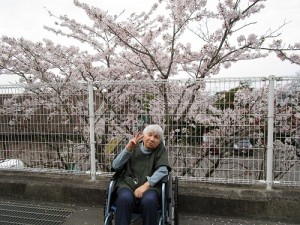 お花見
