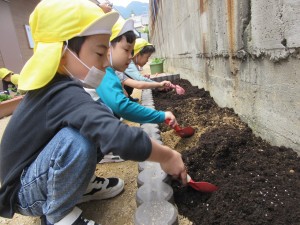 夏野菜の苗植え（５月９日実施）
