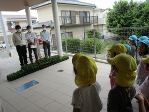 IMG_8731