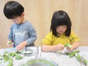 IMG_8757