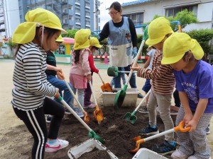 野菜の苗を植えました♪(5月7日)