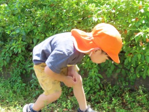 IMG_9909