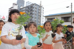 看護の日