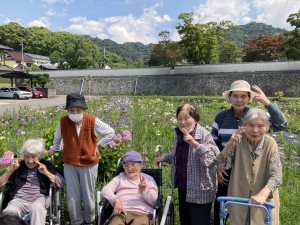 GH 菖蒲を見にドライブへ⭐︎