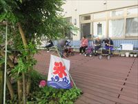 IMG_4284_R