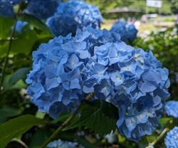 PXL_20240607_045840847_R