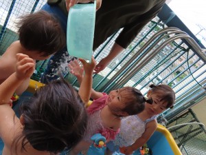 IMG_0248