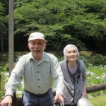 花菖蒲ドライブ