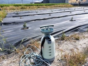 R6.8.7　生産活動の開始に向けて（農薬散布）