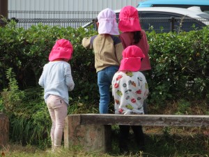 IMG_0532