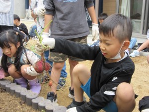さつま芋掘り(10月29日実施)