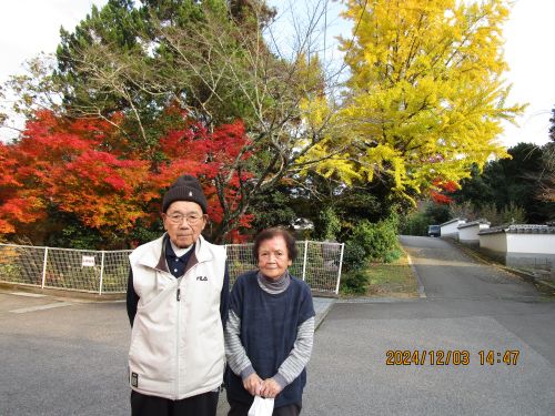 紅葉