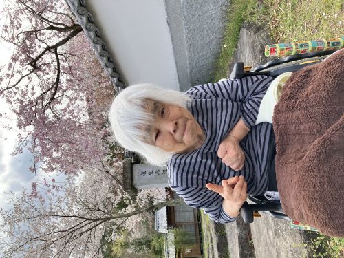 お花見散歩３