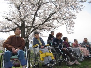 お花見ドライブ