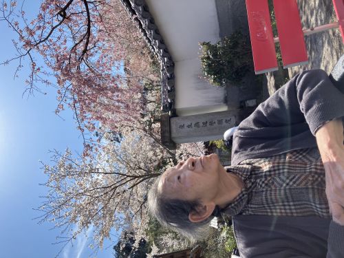 お花見散歩1