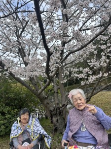 うみかぜお花見( *´艸｀)その３