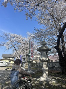 うみかぜお花見（´∀｀*）その４