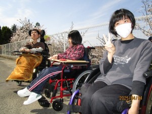 お花見散歩
