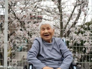 お花見
