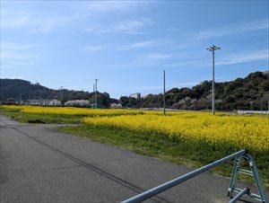 PXL_20250331_054436868_R