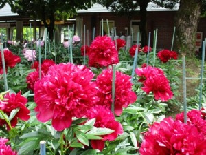 IMG_1670