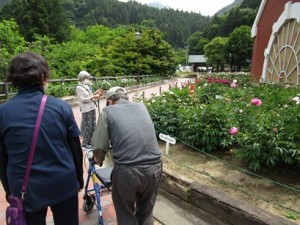 芍薬見物（夢テラス）