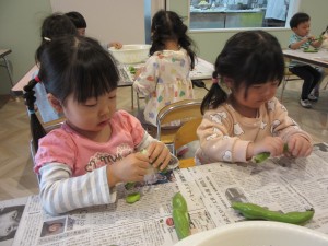 空豆の皮むき(5月12日実施)