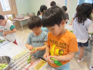 空豆の皮むき(5月21日実施)