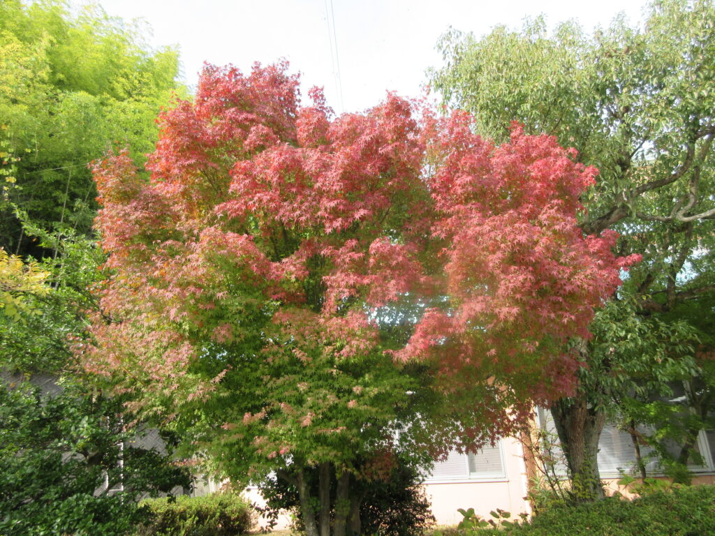 通所リハビリ三恵荘