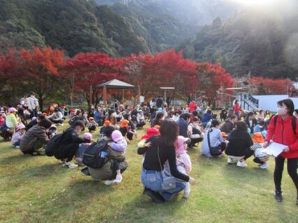親子遠足(11月20日実施)
