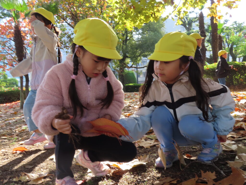 秋の遠足♪(11月27日実施)