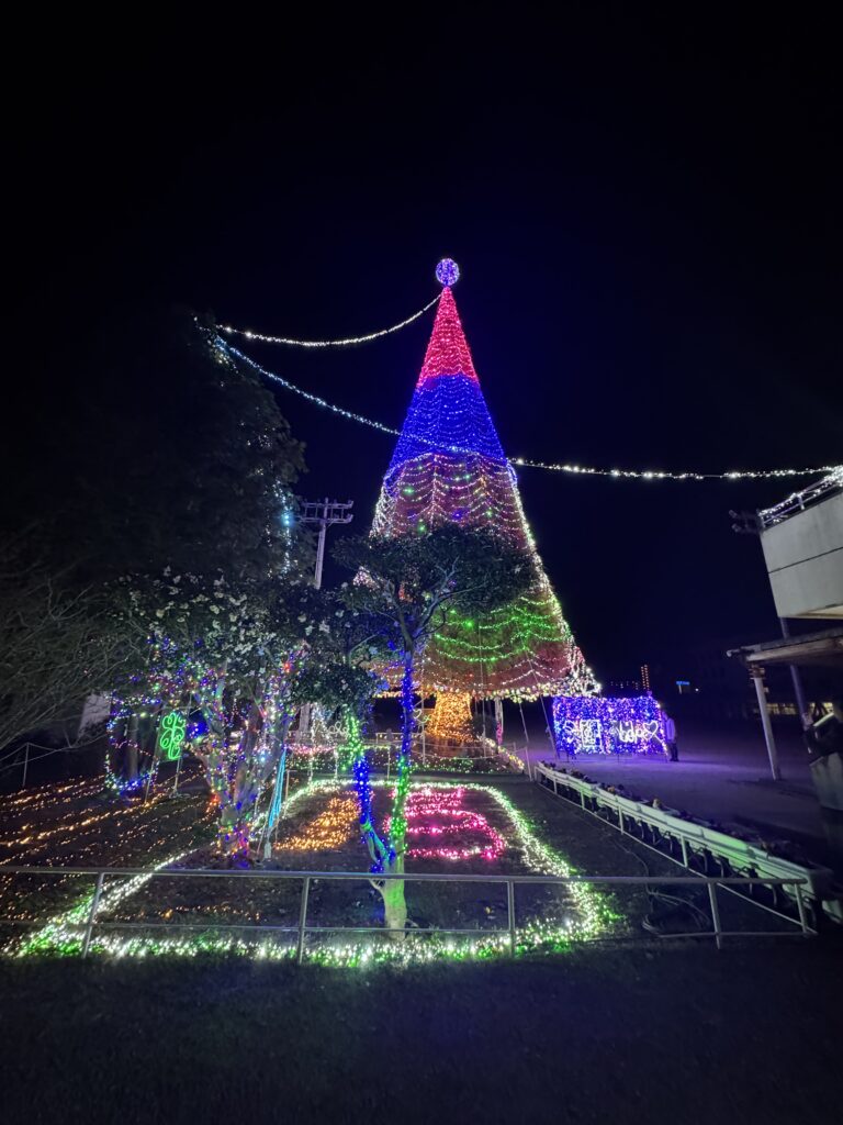 指定居宅介護支援事業所三恵 ケアマネ便り もうすぐクリスマス